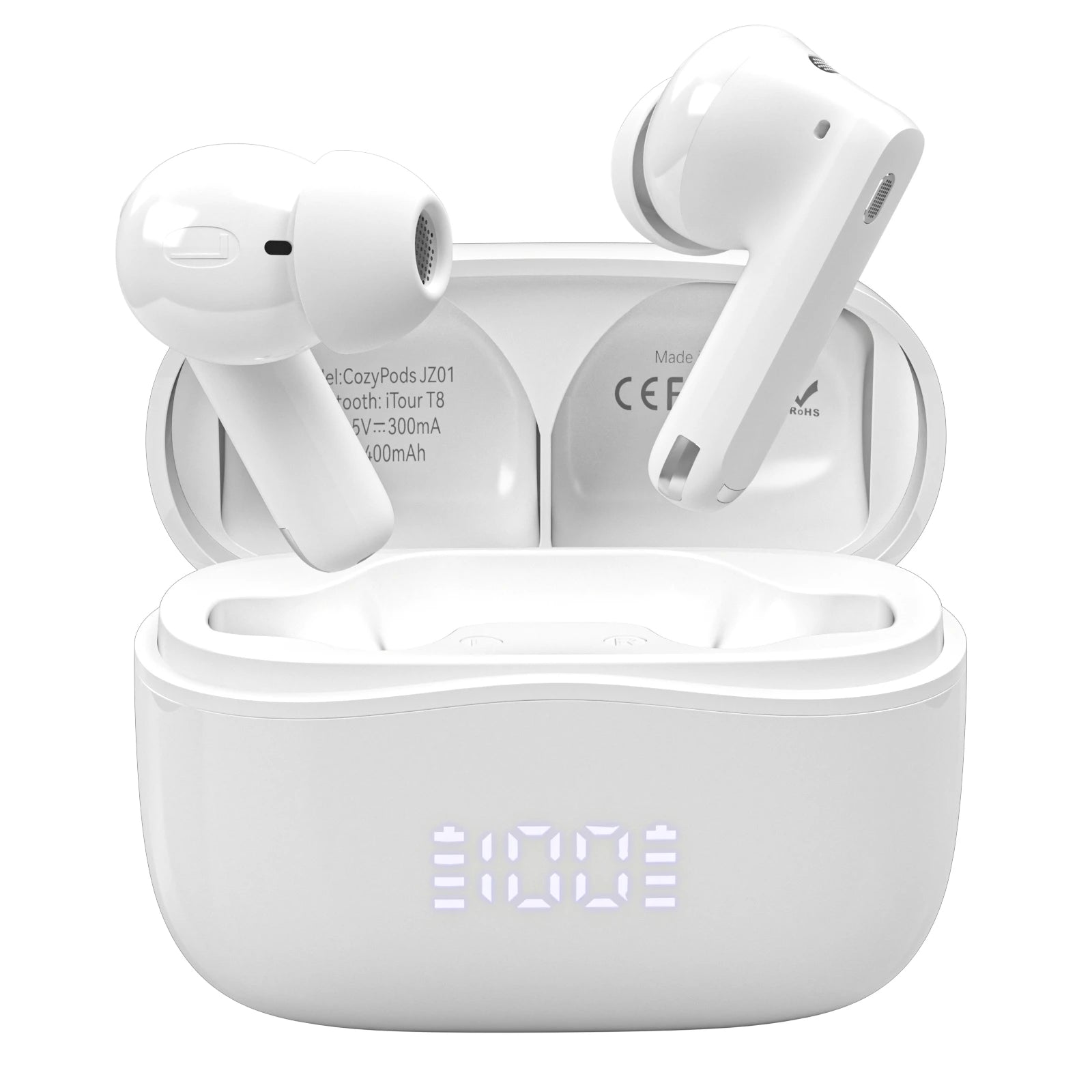 iTour T8 Translator Earbuds